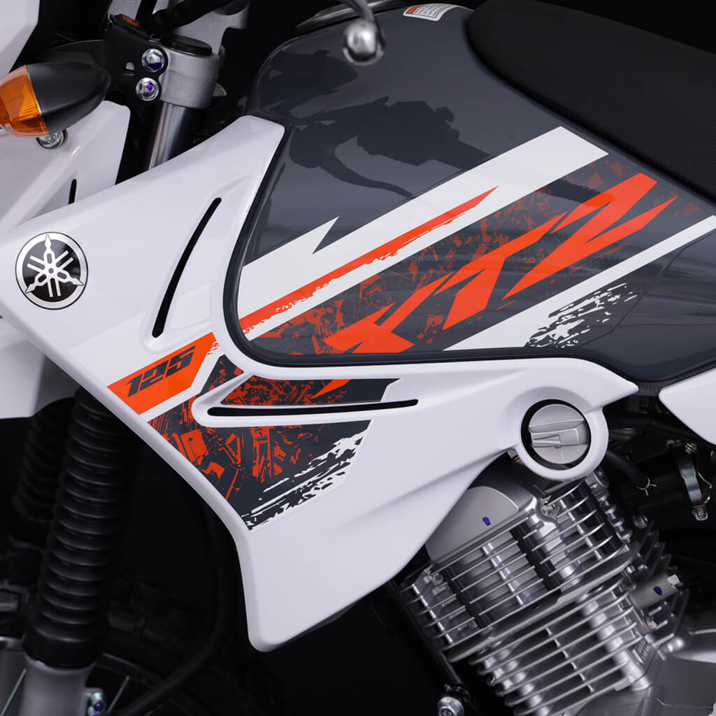 XTZ125 carrusel (1)